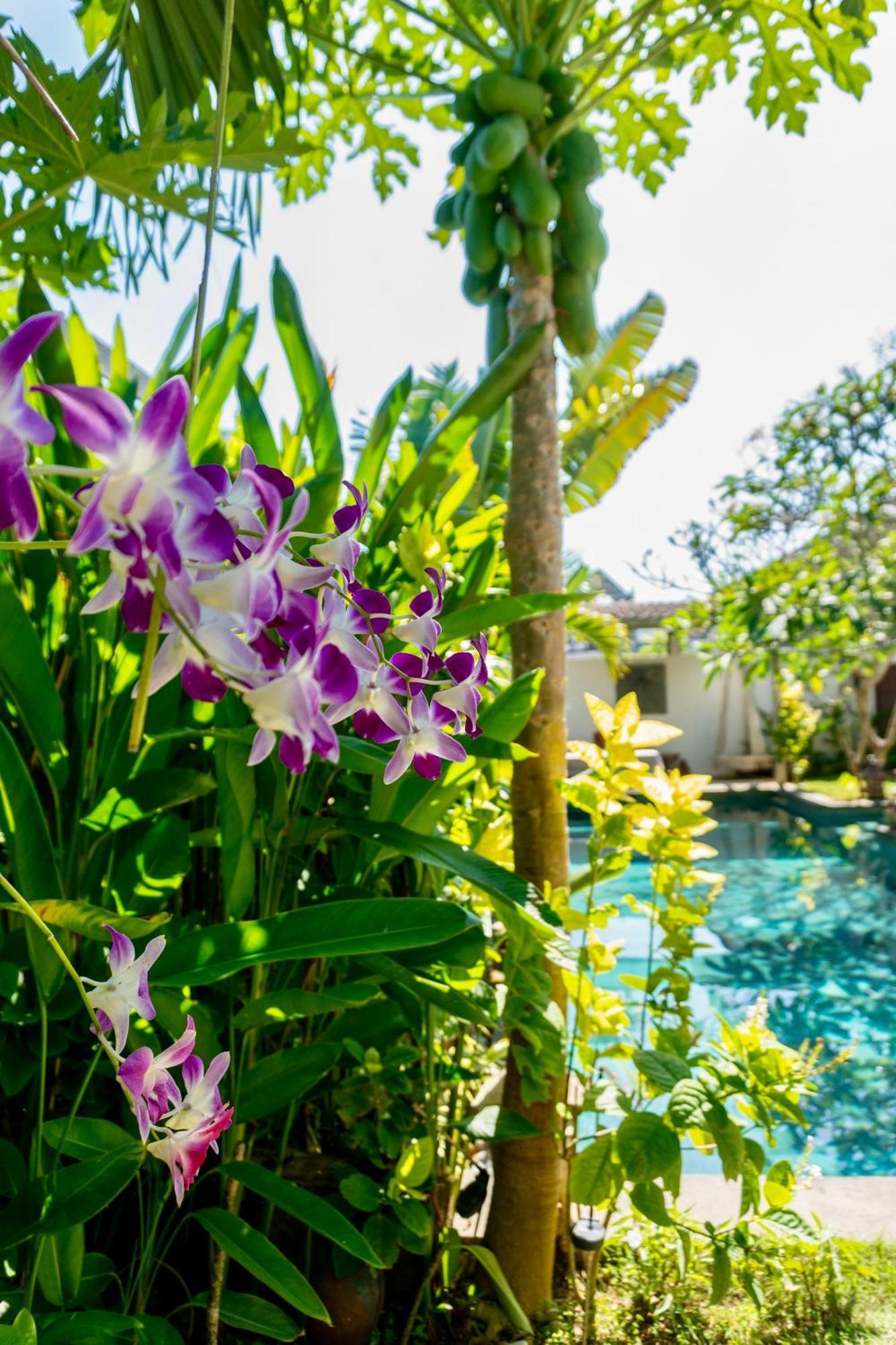 Damai Uluwatu Hotel Екстериор снимка